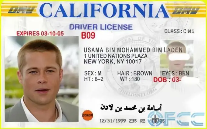 Иностранное Водительское Удостоверение (5)