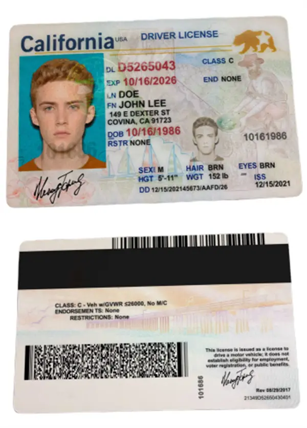 Driver's  Licence.png