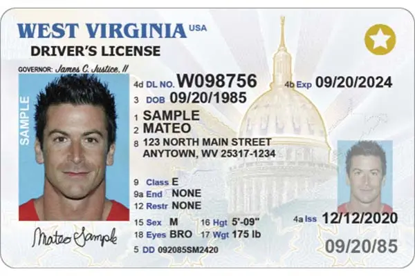 Driver's  Licence (2).jpg