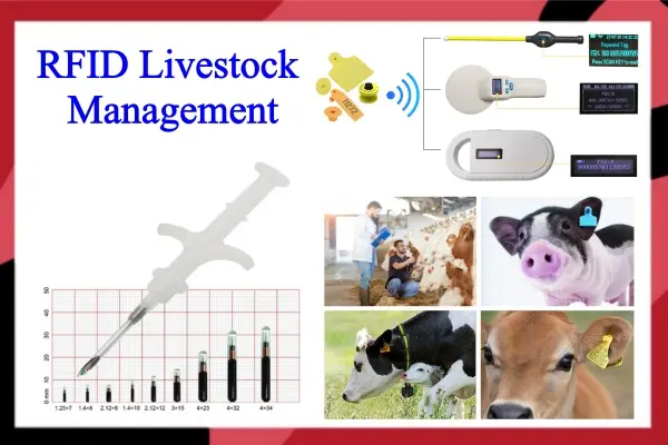 Как технология RFID совершает революцию в управлении животноводством?